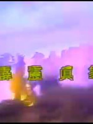 霹雳真象